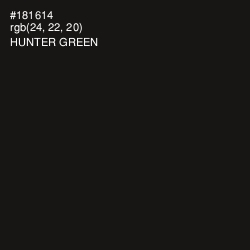 #181614 - Hunter Green Color Image